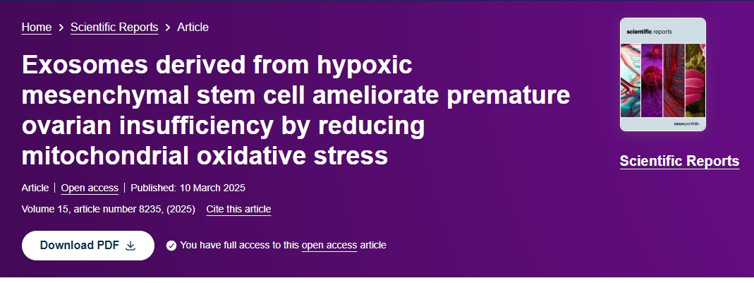 缺氧間充質干細胞來源的外泌體通過降低線粒體氧化應激改善卵巢功能不全 缺氧間充質干細胞來源的外泌體通過降低線粒體氧化應激改善卵巢功能不全