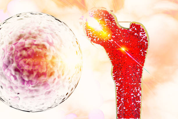 干細胞移植對捐獻者身體有害嗎？2025年醫學真相大揭秘（附捐獻者自述）