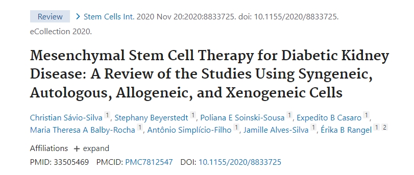 間充質干細胞治療糖尿病腎病:同基因、自體、同種異體和異種異體細胞研究的回顧 間充質干細胞治療糖尿病腎病:同基因、自體、同種異體和異種異體細胞研究的回顧