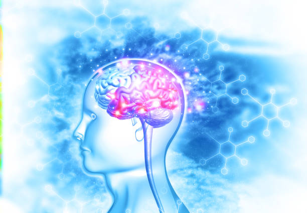 腦出血治療新希望:間充質干細胞治療臨床安全有效?最新證據(jù)來了 腦出血治療新希望:間充質干細胞治療臨床安全有效?最新證據(jù)來了