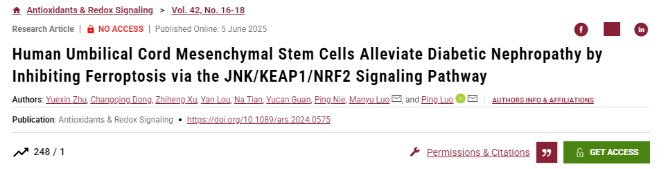 人臍帶間充質(zhì)干細(xì)胞通過JNK/KEAP1/NRF2信號通路抑制鐵死亡緩解糖尿病腎病 人臍帶間充質(zhì)干細(xì)胞通過JNK/KEAP1/NRF2信號通路抑制鐵死亡緩解糖尿病腎病