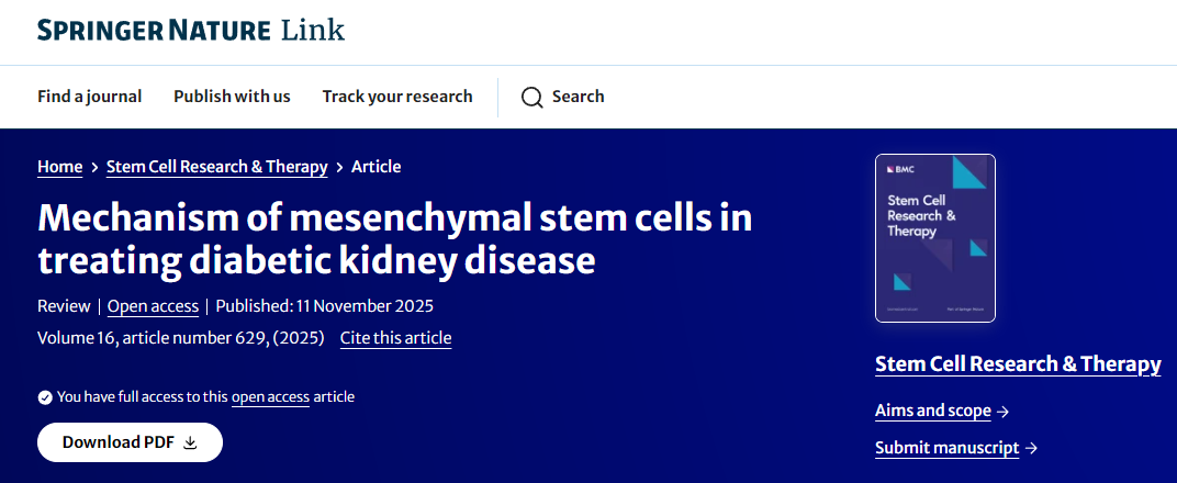 間充質(zhì)干細(xì)胞治療糖尿病腎病的機制 間充質(zhì)干細(xì)胞治療糖尿病腎病的機制