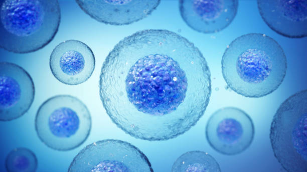 干細胞治療神經退行性疾病的干細胞類型都有哪些? 干細胞治療神經退行性疾病的干細胞類型都有哪些?