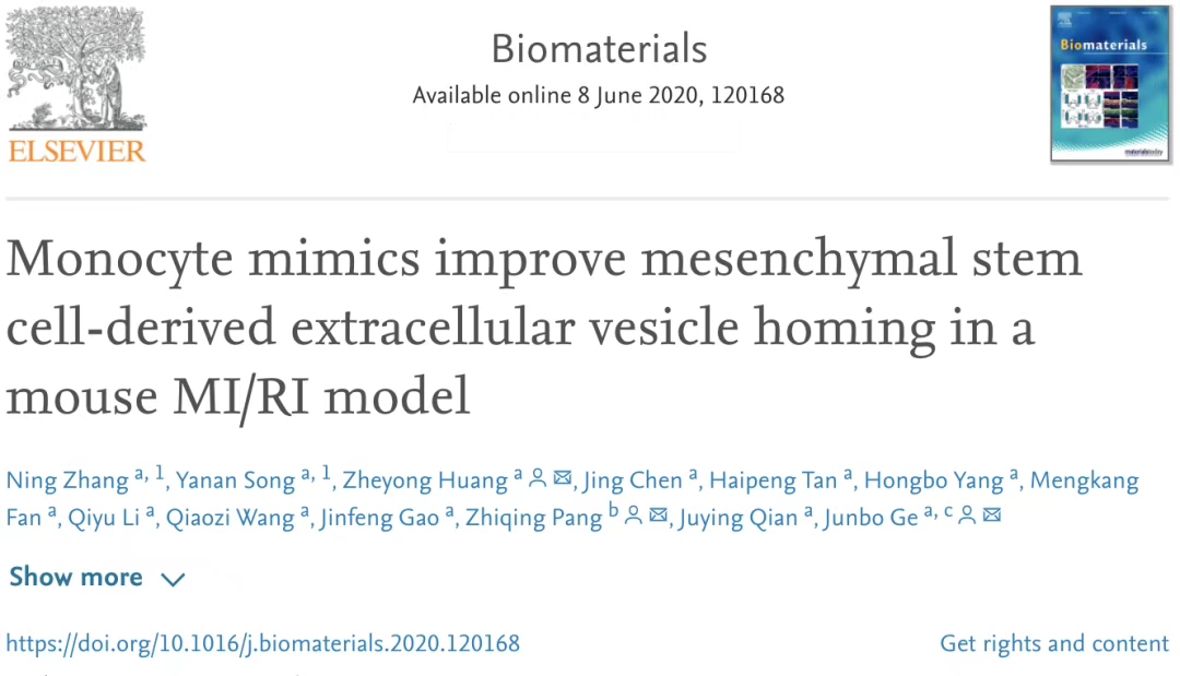 單核細(xì)胞仿生物修飾間充質(zhì)干細(xì)胞外囊泡改善其對(duì)小鼠心肌缺血再灌注損傷的歸巢