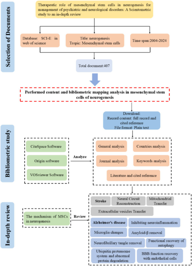 圖1:間充質干細胞在神經發生方面的研究工作流程 圖1:間充質干細胞在神經發生方面的研究工作流程