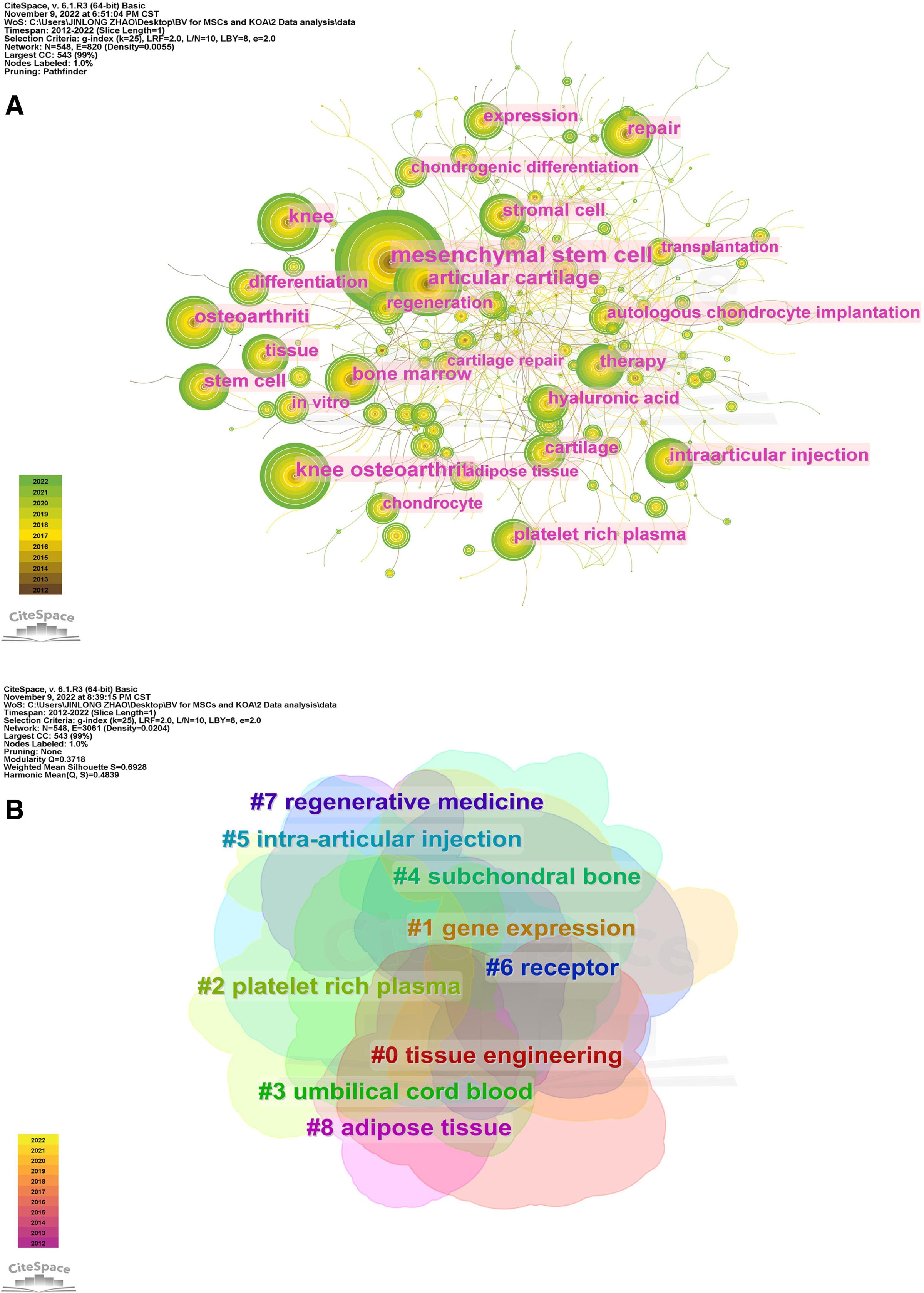 圖5：CiteSpace可視化MSCs與KOA研究的關鍵詞。（B）關鍵詞聚類分析。