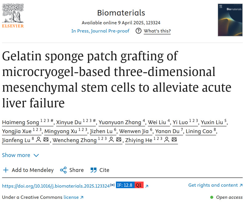 明膠海綿貼片移植微低溫凝膠基三維間充質干細胞以緩解急性肝衰竭