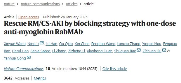通過單劑量抗肌紅蛋白RabMAb阻斷策略挽救橫紋肌溶解癥或擠壓綜合征相關(guān)急性腎損傷