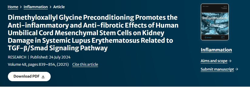 二甲基草酰甘氨酸預處理促進人臍帶間充質干細胞對系統性紅斑狼瘡腎臟損傷的抗炎和抗纖維化作用與TGF-β/Smad信號通路相關 二甲基草酰甘氨酸預處理促進人臍帶間充質干細胞對系統性紅斑狼瘡腎臟損傷的抗炎和抗纖維化作用與TGF-β/Smad信號通路相關