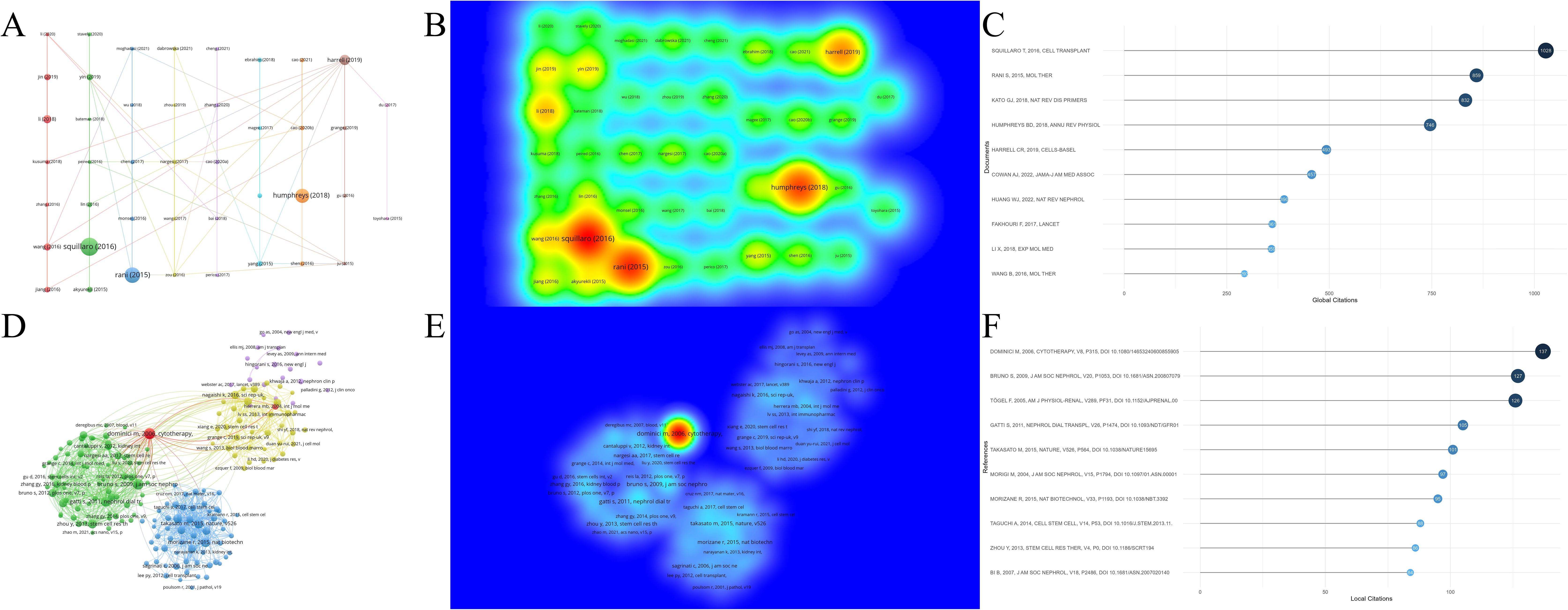 圖7：腎臟疾病干細(xì)胞治療研究中被引文獻(xiàn)及參考文獻(xiàn)分析。