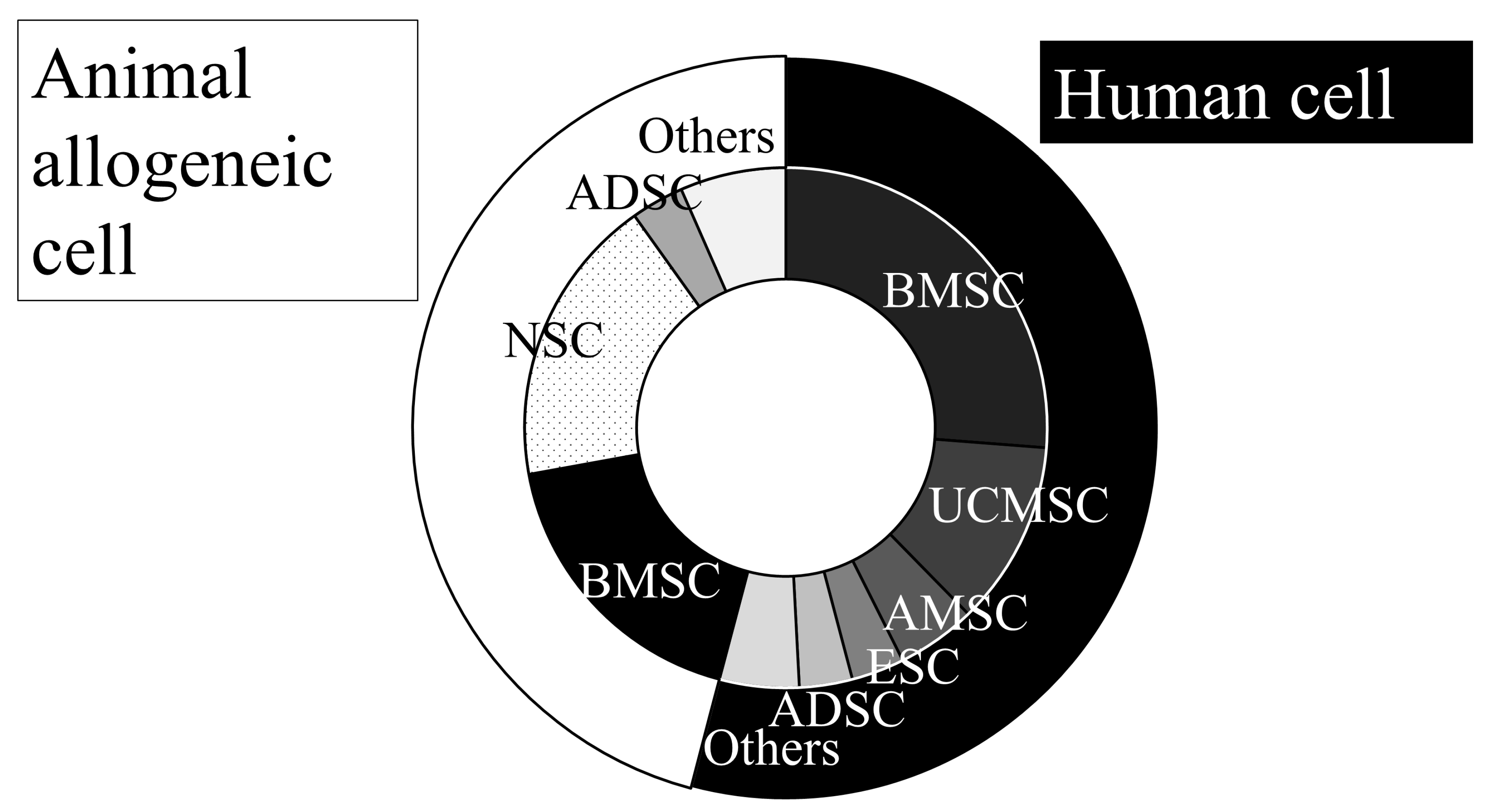 圖1:動脈內移植動物實驗所用的細胞來源。 圖1:動脈內移植動物實驗所用的細胞來源。