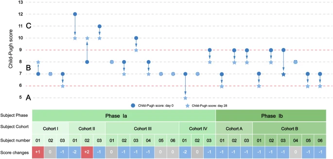 圖2：從基線到第28天，個人Child-Pugh評分的變化。