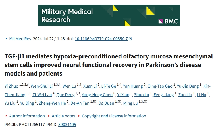 TGF-β1介導缺氧預處理的嗅黏膜間充質干細胞改善帕金森病模型和患者的神經功能恢復