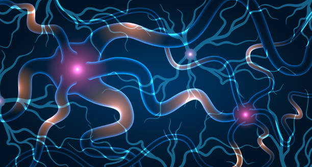 神經(jīng)干細胞移植效果如何？2025最新臨床進展與患者案例深度解析