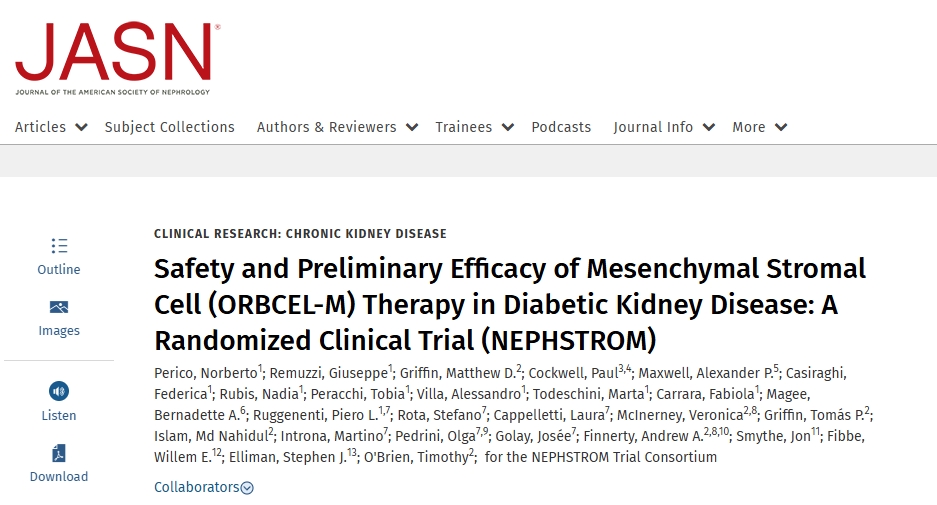 間充質(zhì)基質(zhì)細(xì)胞(ORBCEL-M)治療糖尿病腎病的安全性和初步療效:一項隨機(jī)臨床試驗(NEPHSTROM) 間充質(zhì)基質(zhì)細(xì)胞(ORBCEL-M)治療糖尿病腎病的安全性和初步療效:一項隨機(jī)臨床試驗(NEPHSTROM)