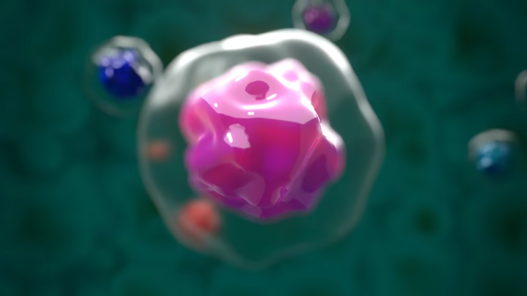 重磅解讀：干細胞如何修復1型糖尿??？3大核心作用機制全解析