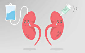 干細(xì)胞療法：急性腎損傷的治療新策略，3大作用改善患者預(yù)后 | 研究綜述