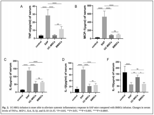 圖2：與BMSCS相比，UC-MSCs的輸注更能緩解SAP小鼠的系統(tǒng)性炎癥反應。