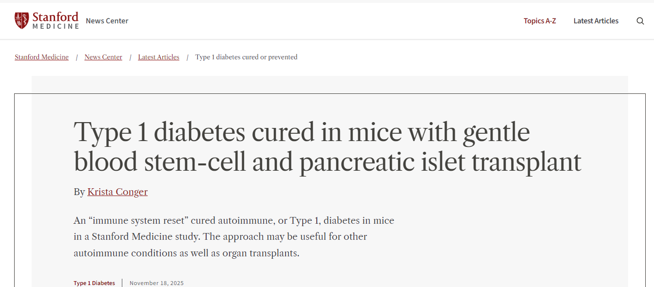 通過溫和的血液干細胞和胰島移植,小鼠的1型糖尿病得以治愈。 通過溫和的血液干細胞和胰島移植,小鼠的1型糖尿病得以治愈。