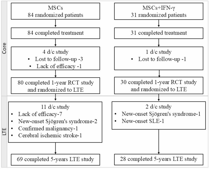 圖1：患者處置。IFN-γ，干擾素γ；LTE，長期擴展；MSCs，間充質干細胞；RCT，隨機對照臨床試驗；SLE，系統性紅斑狼瘡