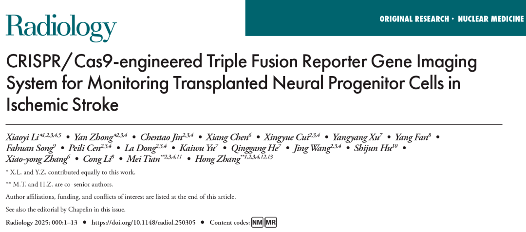 利用 CRISPR/Cas9 技術構建的三融合報告基因成像系統監測缺血性中風中移植的神經祖細胞 利用 CRISPR/Cas9 技術構建的三融合報告基因成像系統監測缺血性中風中移植的神經祖細胞