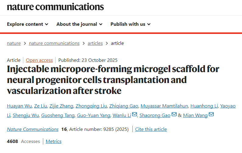 用于中風后神經祖細胞移植和血管化的可注射微孔形成微凝膠支
