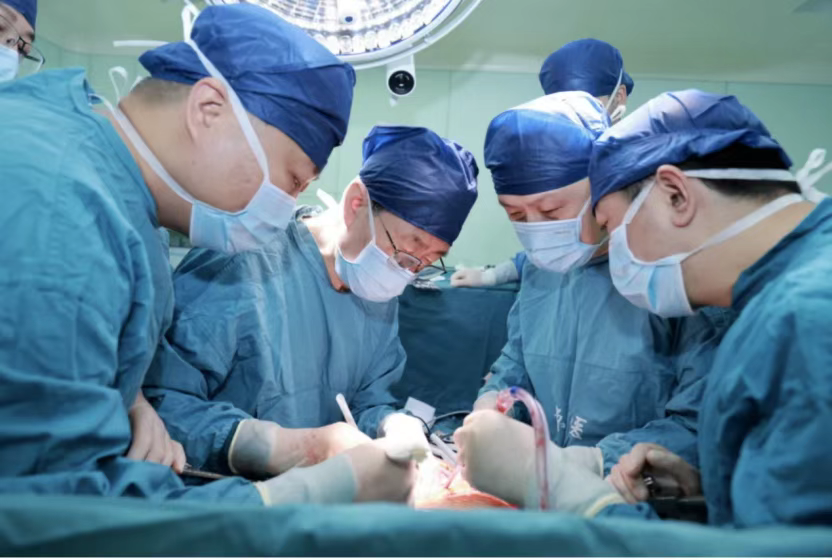 西京醫院肝膽外科竇科峰院士、楊詔旭副教授等為受體移植豬肝