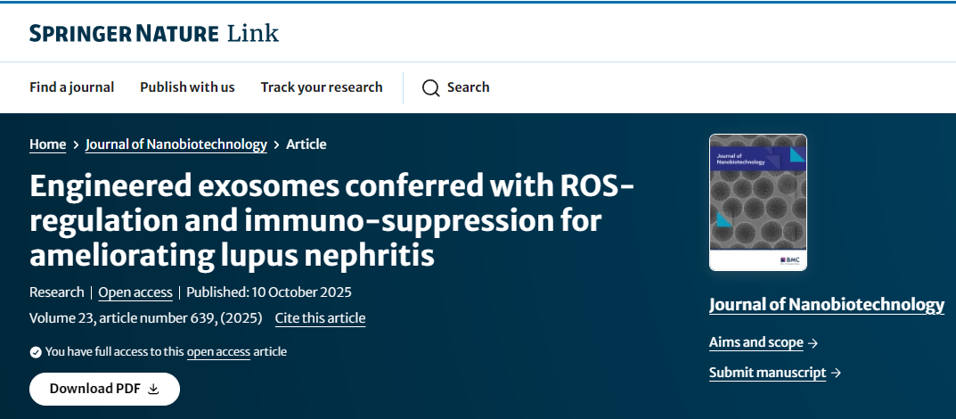 工程化外泌體通過調節活性氧和免疫抑制作用改善狼瘡性腎炎 工程化外泌體通過調節活性氧和免疫抑制作用改善狼瘡性腎炎