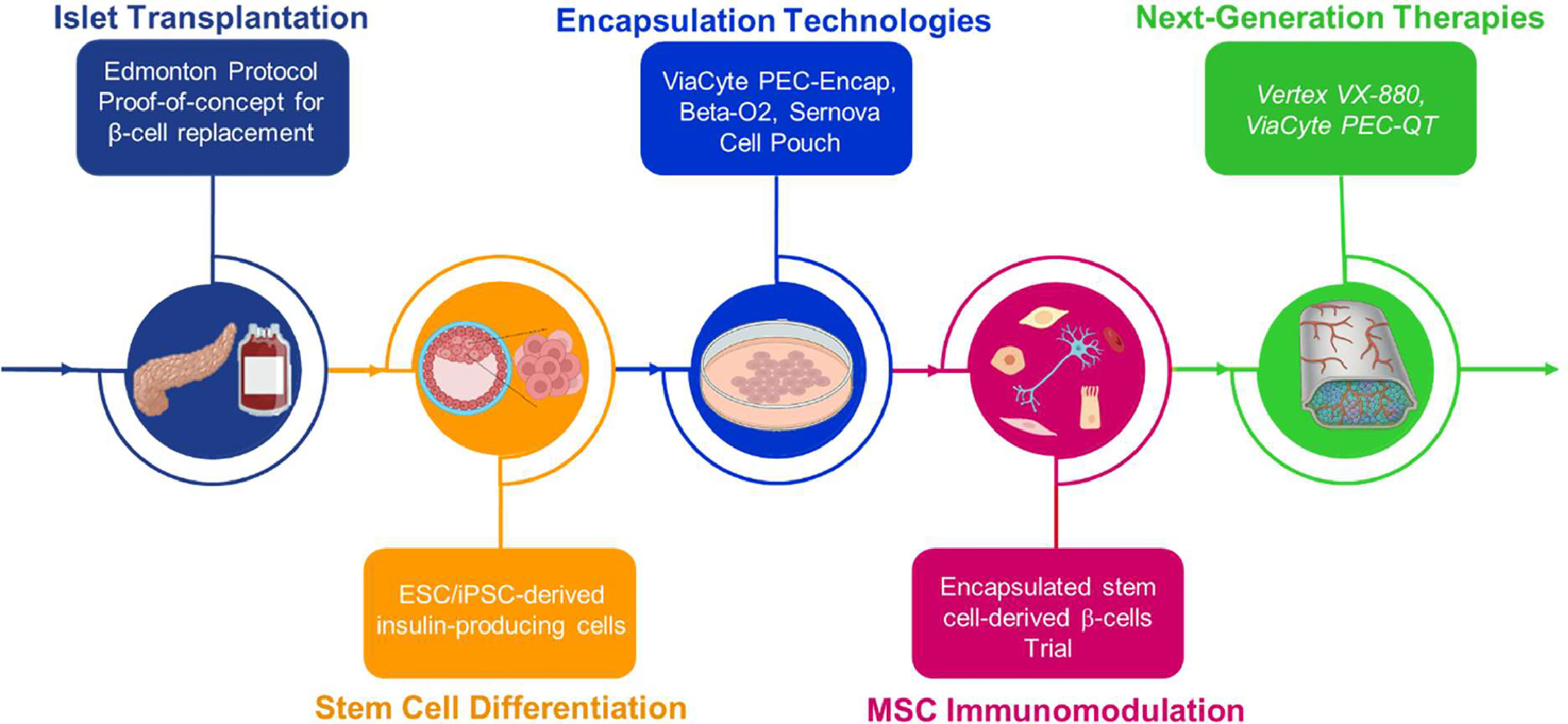 圖3.干細(xì)胞封裝在糖尿病治療中的時(shí)間線。 圖3.干細(xì)胞封裝在糖尿病治療中的時(shí)間線。