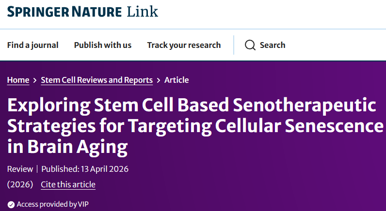 修復血腦屏障、清除炎癥循環(huán)：干細胞“無細胞療法”正重新定義大腦抗衰方案